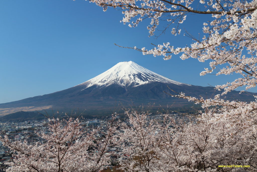 The New Era Photography